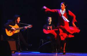 Flamenco300